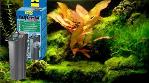 Обзор аквариумного фильтра Tetra EasyCrystal Filter 250