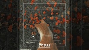 \+\песни которые вы возможно искали \+\