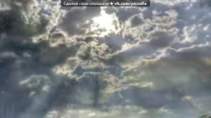 Митя Кузнецов - голуби