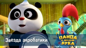 Панда и петушок Лука, 23 серия. Звезда акробатики