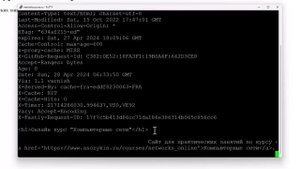 сз11-HTTP в текстовом режиме _ Компьютерные сети 2025 - 11