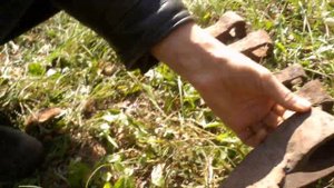 Дмитрий Тамойкин просил показать топоры с копа