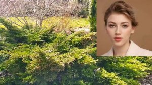 Жених из хорошей семьи. 1-4 серия (2023) дата выхода.