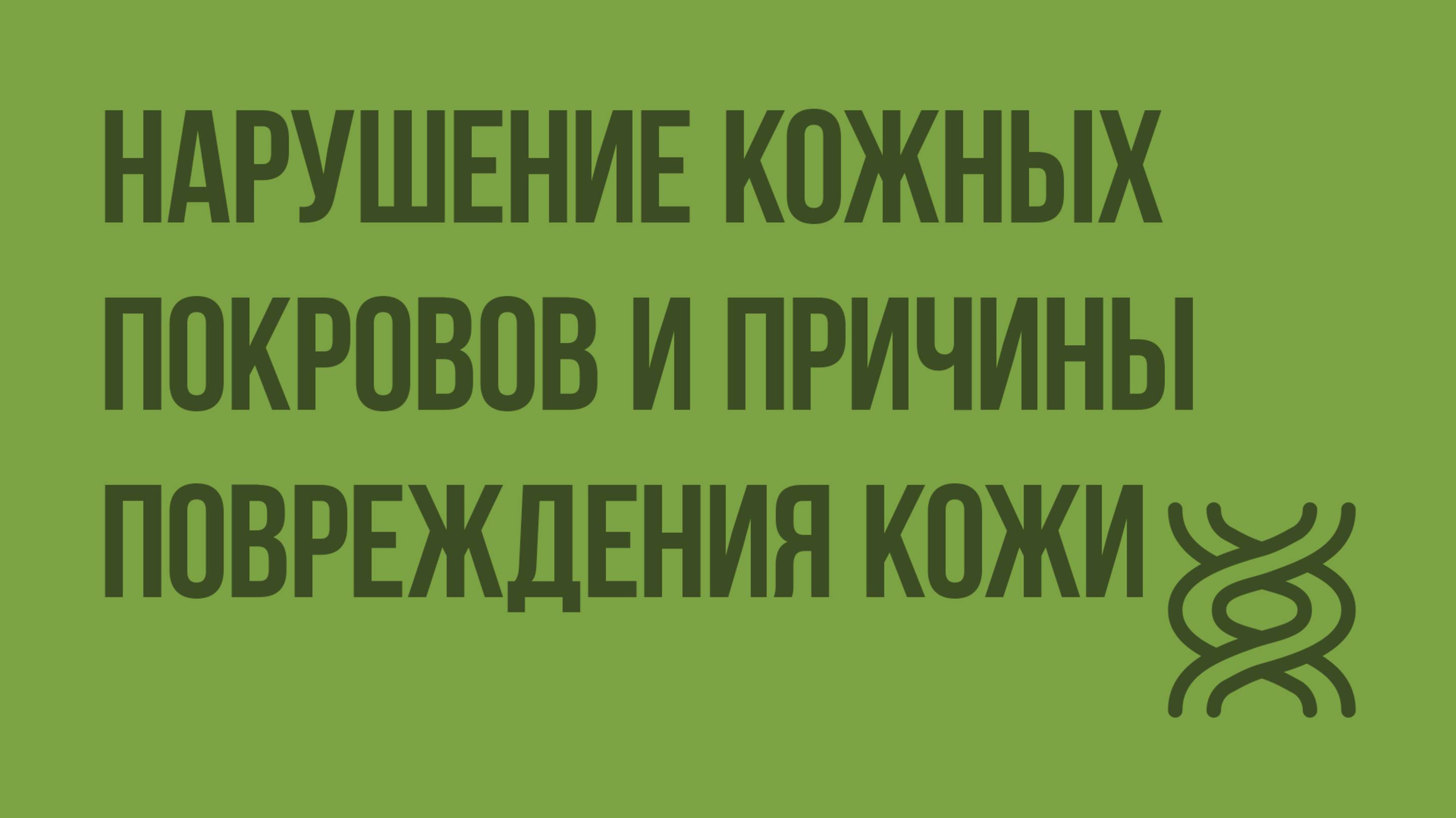 Нарушение кожных покровов и причины повреждения кожи. Видеоурок по биологии 8 класс