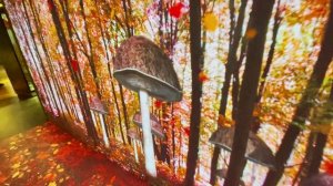 Immersive and Tranquil Projection_ _Relax Corridor_