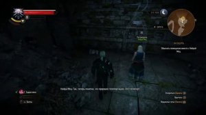 Ведьмак 3 Дикая Охота - прохождение часть # 20 На ощупь (Сложность "На Смерть")