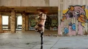 Go Go Dance Vika Konvisar