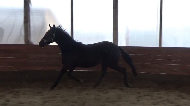 Гжель смотреть онлайн