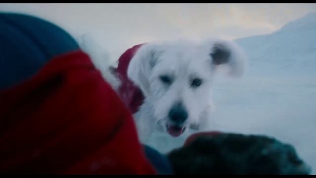 Супермен — Трейлер (2025) смотреть онлайн