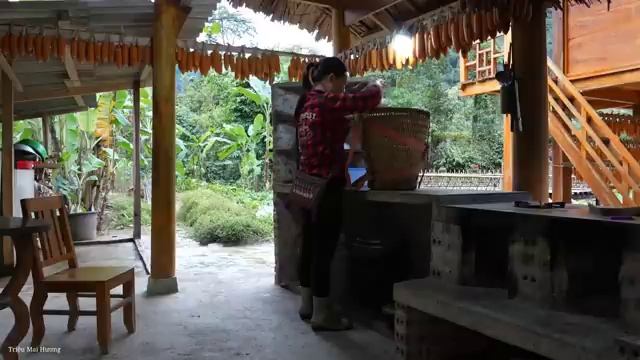 Harvesting Watercress and Selling It at the Market - Enjoying a Rich Hot Pot Mixed. Trieu Mai Huong