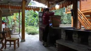 Harvesting Watercress and Selling It at the Market - Enjoying a Rich Hot Pot Mixed. Trieu Mai Huong