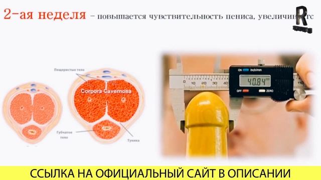 Секрет увеличения №1 — способ применения Титан Гель
