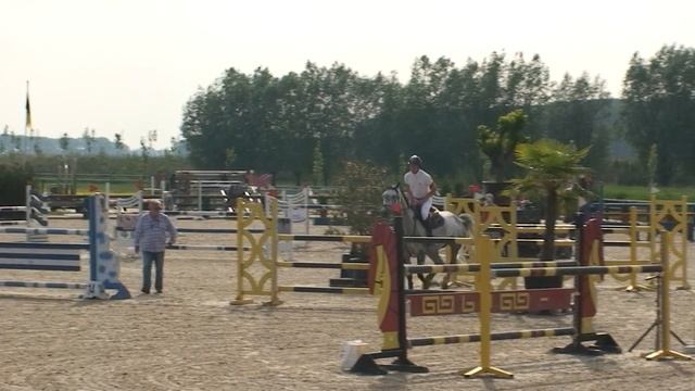 Ceyenne-B Z (Chellano Z X Carthago Z) met Thomas Mertens 07-06-2014 смотреть онлайн