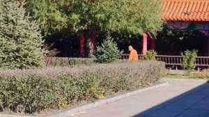 Mudanjiang. China (3часть )