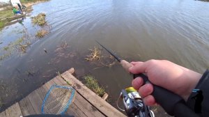 Щука в Стрелецком Ручье