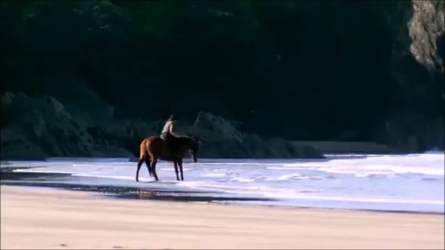 Gwnewch y Pethau Bychain Dros y Gymraeg смотреть онлайн