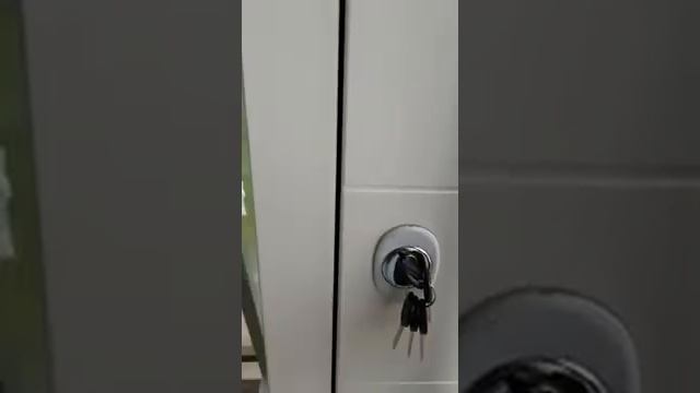 Дверь офисная со стеклопакетом панель панель с МДФ наличником
