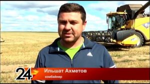 В самом крупном хозяйстве района уборка зерновых культур подходит к завершению