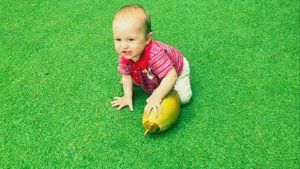 Учим Фрукты | Развивающее видео для детей малышей