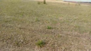 Сайга 308 исп46. Стрельба в газовый баллон.