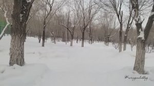 Парк Победы в Караганде зимой