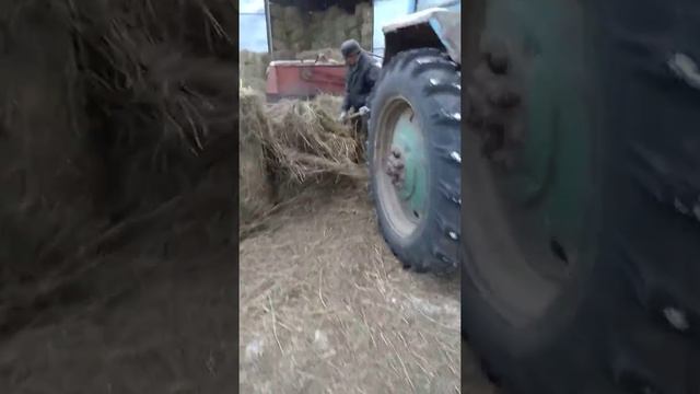 Немецкий вязальный аппарат на Киргизстане смотреть онлайн