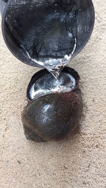 ракушка vs серебро смотреть онлайн