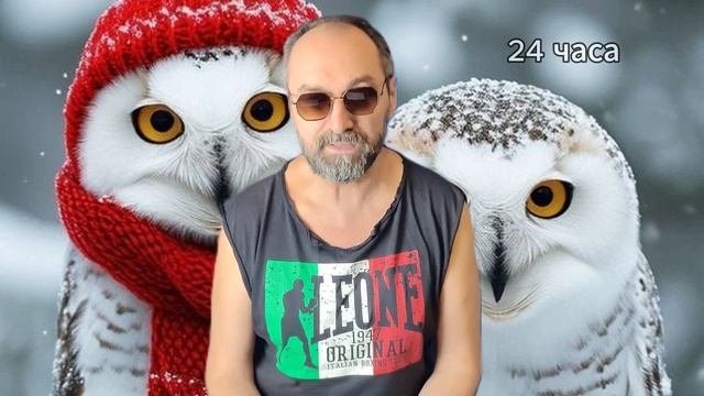Нейроконсультант СОВО-Сова - инструмент №1 для построения и прокачки команды в компании 