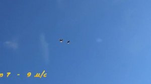 Николаевские голуби г Тюмень красные белохвостые