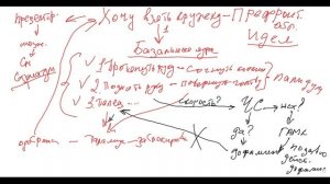 9 Базальные ядра