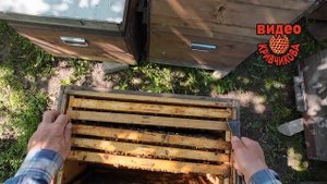 Ставим вощину во второй корпус.