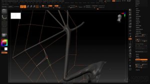 19. Membranes - Wings (1)