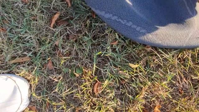 Recondiționare tapițerie ușa Smart Fortwo I Door trim board/ card refurb смотреть онлайн