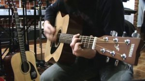 Обзор гитары Forest Group