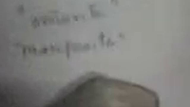 Donax peruviana смотреть онлайн