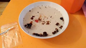 Как извлечь семена рябины из ягод