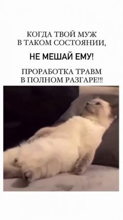 Уверяю 🤣 ОН НЕ БЕЗДЕЛЬНИЧАЕТ: идёт сложный процесс самопознания! 👍😉🙃😂