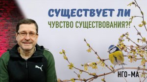 Существует ли чувство Существования?!