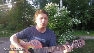 Болота Невы (аквариум cover)