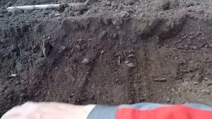 Посев кукурузы Монсанто дкс 4014. Агро-канал