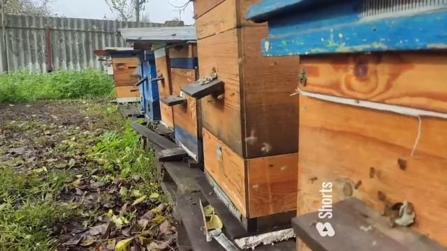 30 Октября 2022. смотреть онлайн