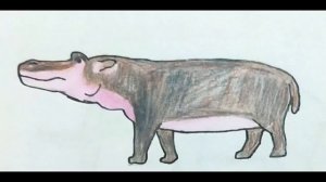 Hippopotamus Gorgops sound effects