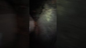 Испытательная штольня Еландийской ГЭС в горах Алтая