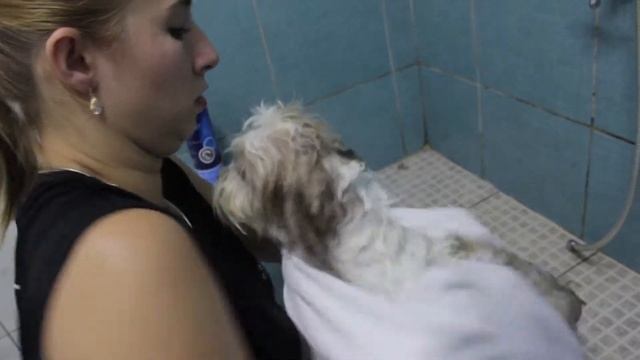 Programa Tudo de Bom - Renata Queiroga - MOLECÃO / BANHO DE TRATAMENTO смотреть онлайн