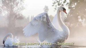 قصيدة روسية بعنوان سأغرق في عينيك ، هل يمكنني ذلك؟ Я в глазах твоих утону, можно