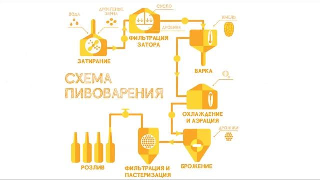 7 Микробиология. Применение бактерий в пищевой промышленности