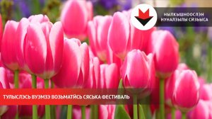 Тулыслэсь вуэмзэ возьматӥсь сяська фестиваль