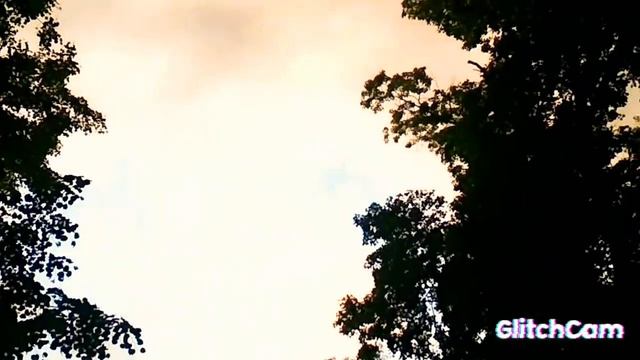singing birds 🐦🐦🐦 sunset 🌇,evening sounds forest 🌲🌲🌲, пение птиц на закате,звуки вечернего леса смотреть онлайн