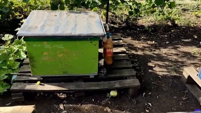 Мининуки самодельные  02 10 2021 смотреть онлайн