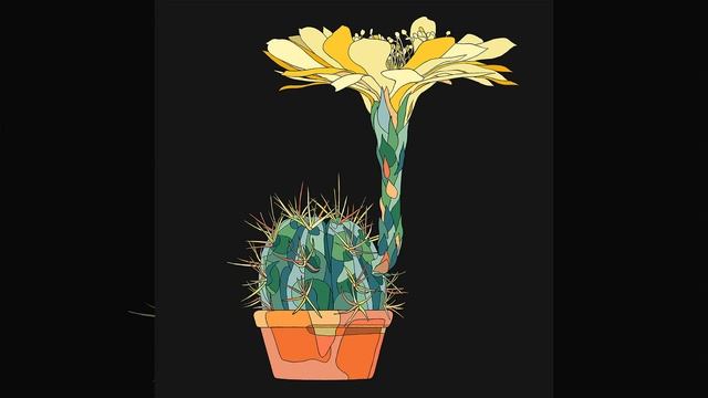 Nibble on a Kumquat смотреть онлайн